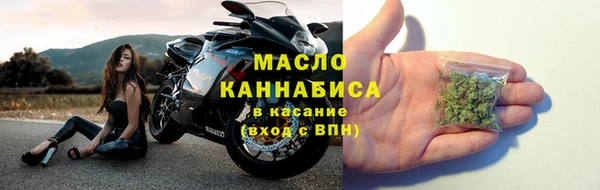 сатива Алзамай